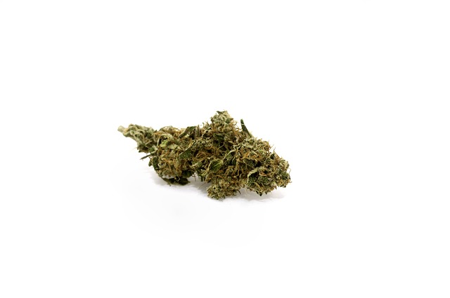 1024 Cannabis Strain Profile