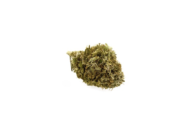 13 Dawgs Cannabis Strain Profile