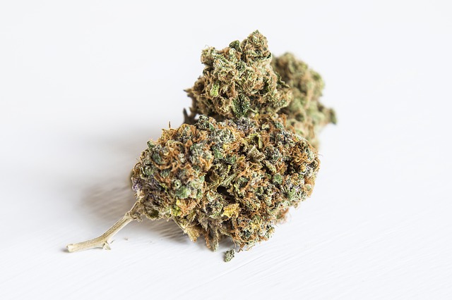 91 Krypt Cannabis Strain Profile
