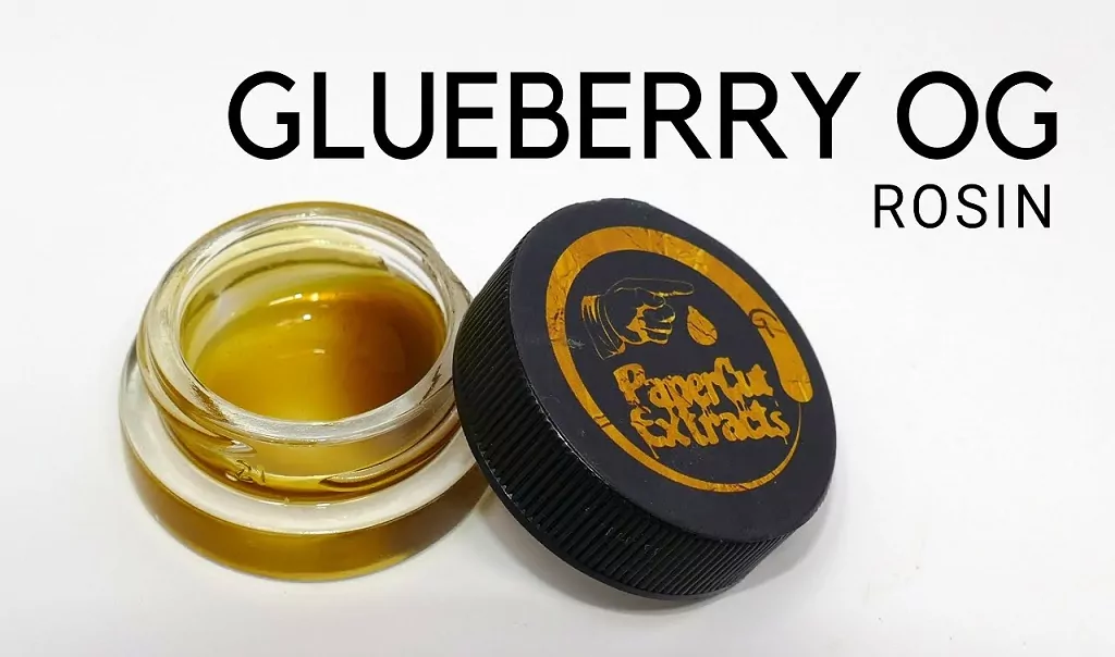 Glueberry OG Strain review