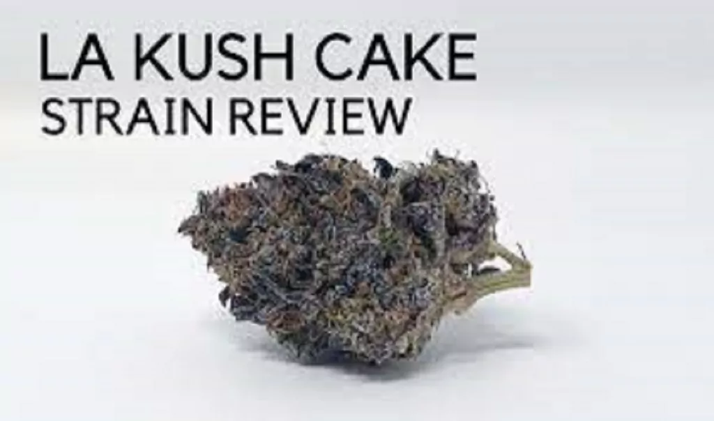 LA Kush Cannabis Strain