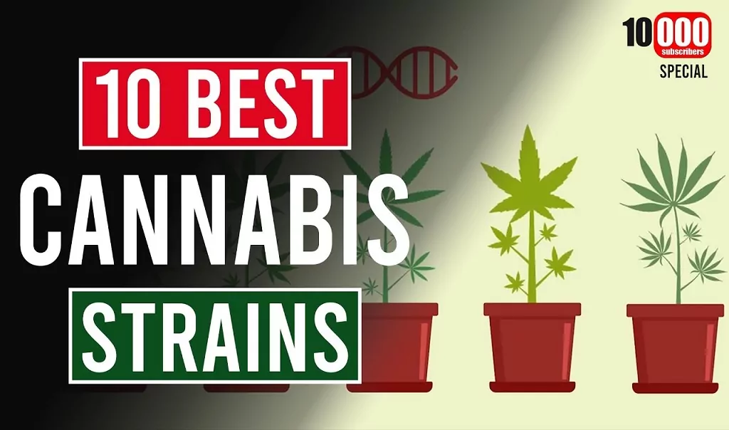 The Top 10 Cannabis Strains